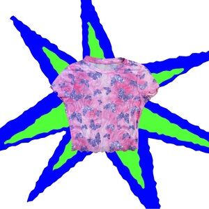 Pink and Blue Butterfly top